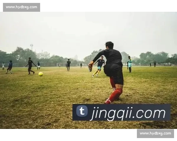 权威体育网站官网入口汇聚赛事资讯直播数据与精彩互动体验平台集